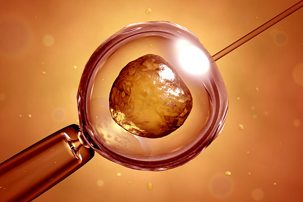 ivf egg retrieval procedure toronto